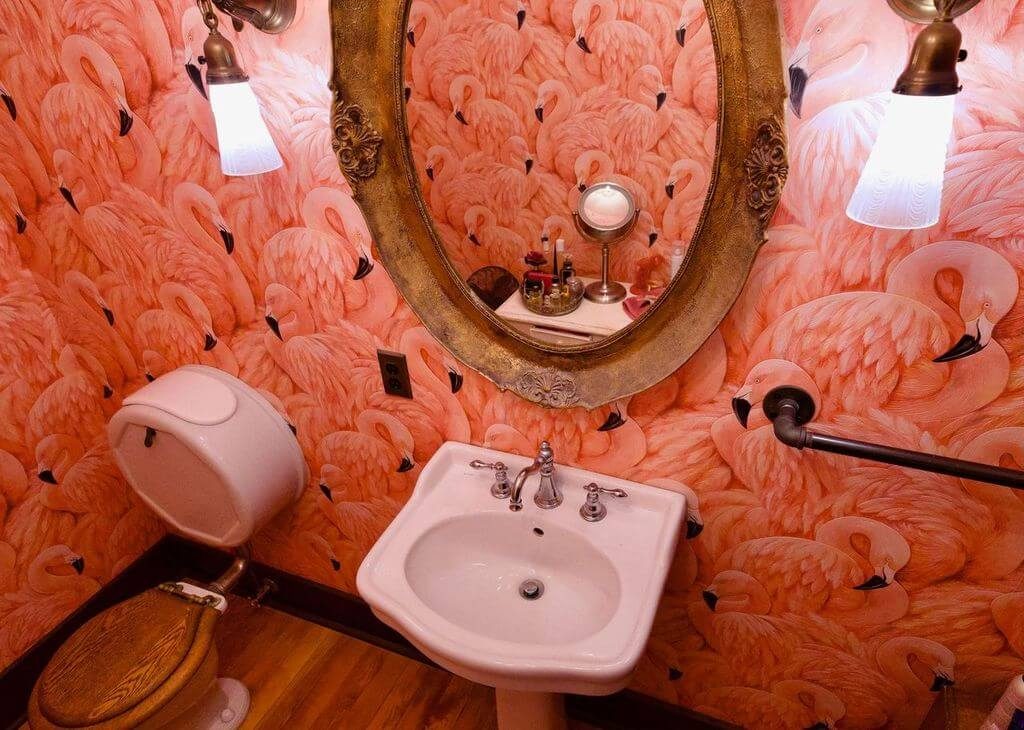 A flamboyance of flamingos...